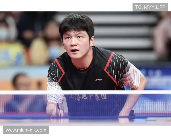 樊振东退出排名后的训练日常：保持状态等待回归