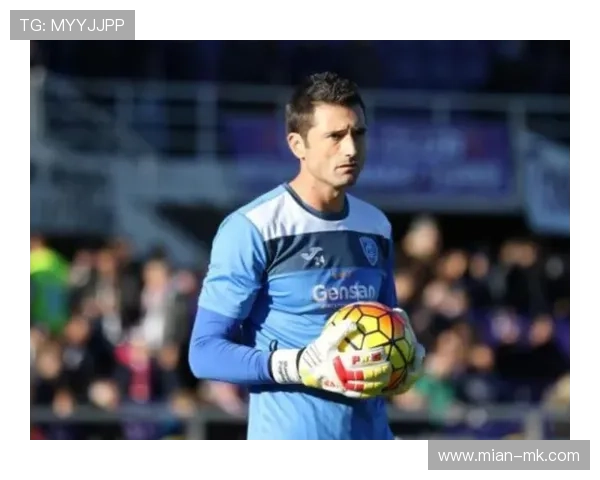 意甲球员个人数据平台，职业生涯管理工具