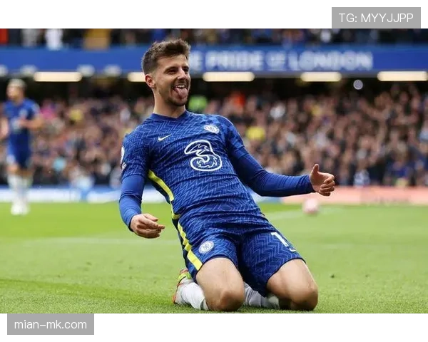 成本与效益分析：德甲中游球队投资生物识别快速入场系统的决策过程